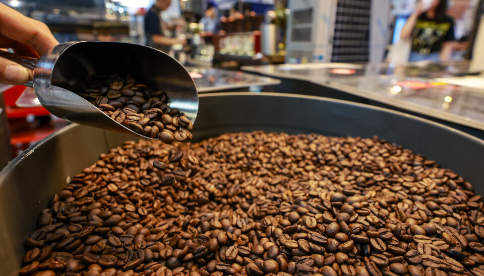 Global Demand for Specialty Beans Boosts Premium Coffee Exports
