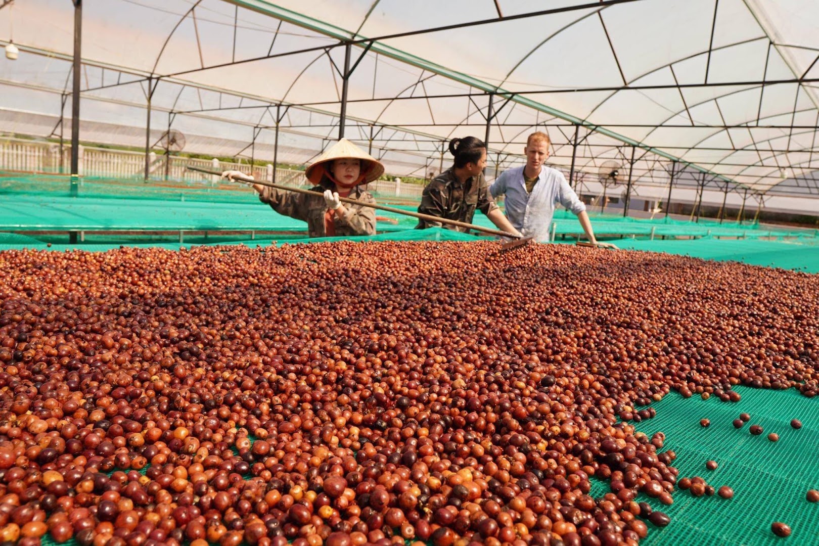 Exporters Accelerate Sustainability Efforts to Meet Global Regulations